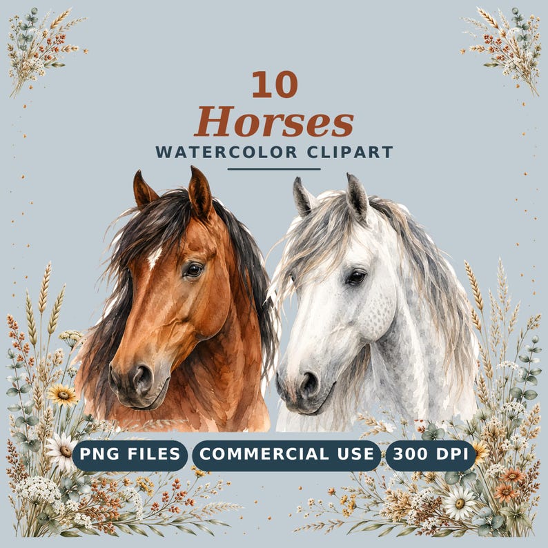 May include: A digital graphic featuring the text 10 Horses WATERCOLOR CLIPART, PNG FILES, COMMERCIAL USE, 300 DPI. Two watercolor horse heads, one brown and one white, are centered between decorative arrangements of dried wheat and wildflowers.