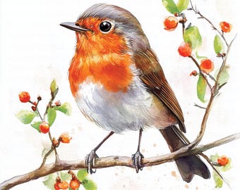 Watercolor spring robin clipart 5 jpg illustrations digital downloads bird printable nature decor garden art floral spring graphic designs