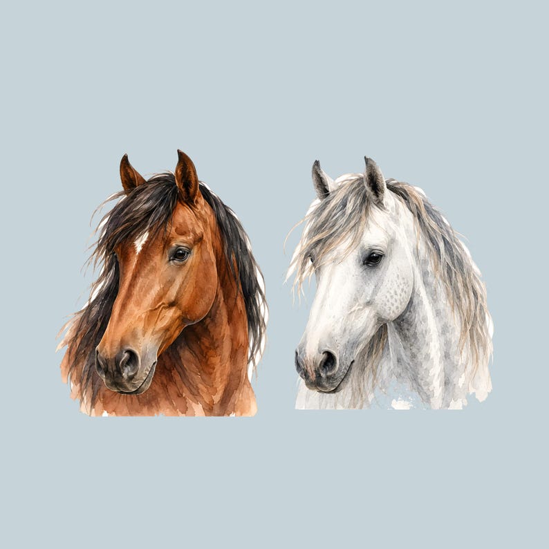 May include: A watercolor illustration featuring two horse heads side by side. On the left, a brown horse with a dark mane and a white blaze on its forehead. On the right, a white horse with a light grey mane and subtle dappled markings.