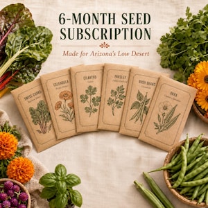 May include: Six brown paper seed packets labelled Swiss Chard, Calendula, Cilantro, Parsley, Bush Beans, and Okra. The text reads 6-MONTH SEED SUBSCRIPTION Made for Arizona's Low Desert. The packets are arranged in a row with fresh produce nearby.