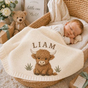 May include: A cream-colored knit baby blanket featuring an embroidered brown Highland cow and the name LIAM in brown text. The blanket is draped over a wicker bassinet containing a sleeping infant, with a teddy bear and gift box nearby.