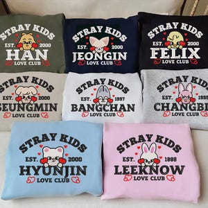 Embroidered Stray Kids Member Group Sweatshirt, SKZOO Characters Hoodie, Stray Kids World Tour 2025 T-Shirt ESN1735-1742.DT