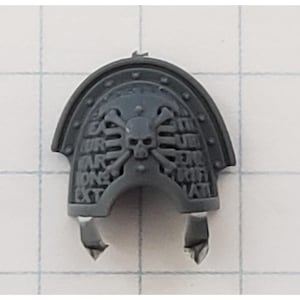 May include: A gray plastic shoulder pad with a skull and crossbones design. The shoulder pad has a curved top and two lower protrusions. The surface is textured and features engraved text.