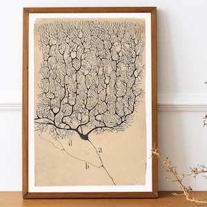 Santiago Ramón y Cajal - Neuron painting, Kitchen decor, Neuron art print, Biology artwork, Ready to hang, Vintage science art, Canvas art