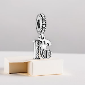 16th Celebration Dangle Charm 16th Birthday Dangle Charms for Bracelets Style Anniversary Jewellery Gift for Her