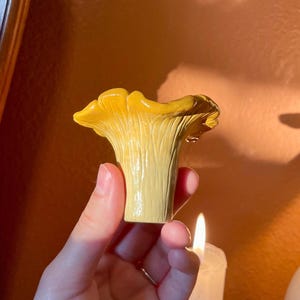 Chanterelle Mushroom Ring Dish | Handmade Jewelry Holder | Fungi Trinket Bowl for Nature Lovers | Home Decor