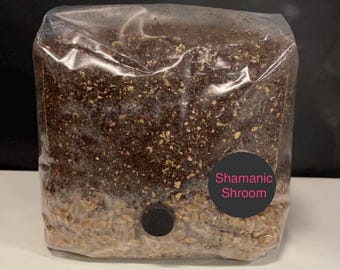 All-in-one Mushroom Grow Kit, Grow Bag 1.5kg - Grain Spawn CVG-Buy 3 get 1 free.