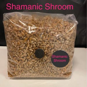 May include: A transparent bag filled with grains, with a black filter and a circular sticker that reads "Shamanic Shroom." The words "Shamanic Shroom" are also written in pink above the bag.