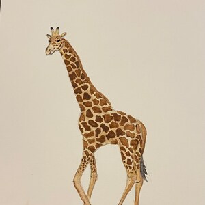 Giraffe Watercolor