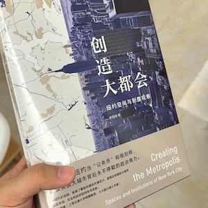 May include: A book titled "Creating the Metropolis: Spaces and Institutions of New York City" by Luo Yu Yong. The book cover features a blue and white aerial photograph of New York City.