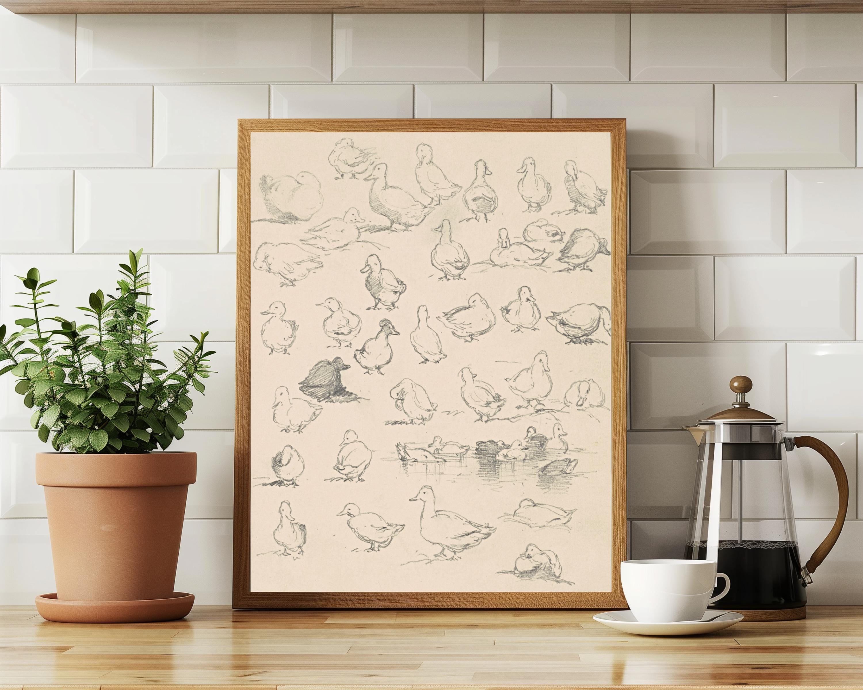 Duck Sketch Vintage Wall Art Animal Prints for Kids Room Nursery Duckling Art Print Gift Farmhouse Aesthetic Kitchen Antique Decor Printable
