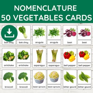 50 Vegetable Flashcards for Kids, Montessori-Inspired 3-Part Nomenclature Cards, Printable PDF, Homeschool Learning, Instant Download