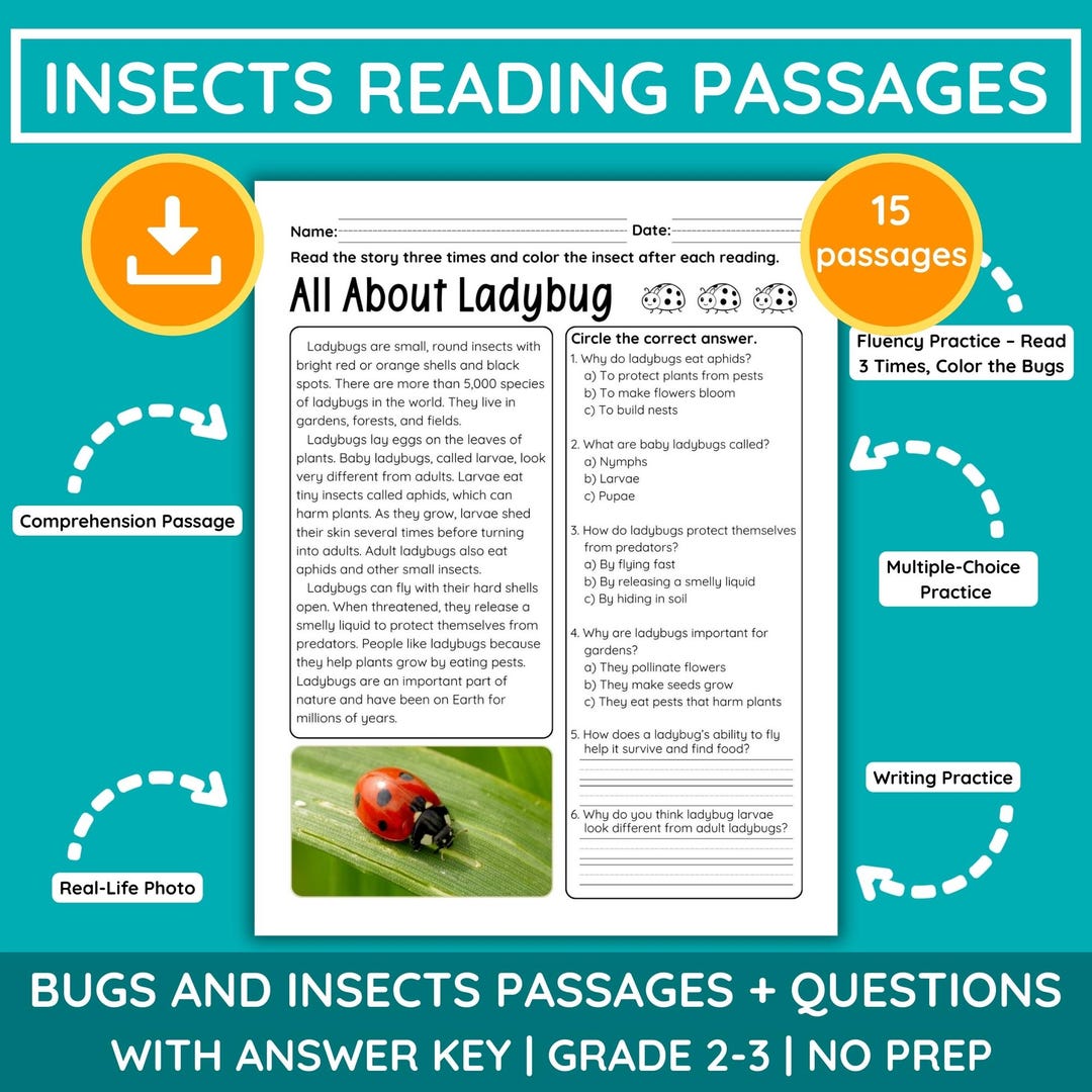 15 Pages Bugs & Insects Reading Comprehension Worksheets: Grade 2-3 ...