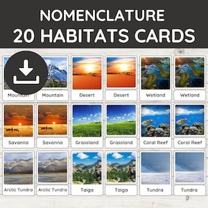20 cartes mémoire Habitats | Images réelles | Géographie d'inspiration Montessori | Cartes de nomenclature en trois parties | PDF imprimable pour l'école à la maison