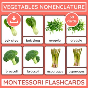 50 Montessori Vegetable Flashcards with Real Photos Printable 3-Part Nomenclature Cards PDF for Homeschool, Preschool, ESL & Nutrition Units