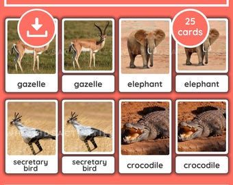 Montessori Safari Animal Flashcards: Nomenklaturkort med riktiga foton (PDF-nedladdning)