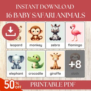 Cartes flash animaux de safari, Matériel Montessori imprimable, Ressources pédagogiques pour l'école à la maison pour tout-petits, Cartes éducatives, Cartes flash Animaux de zoo