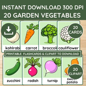 Jeu de cartes mémoire et de cliparts de légumes du jardin pour les enfants, cartes mémoire de légumes d'inspiration Montessori, cartes Montessori, jardin imprimable, PNG SVG