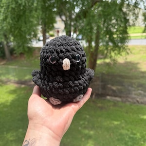 May include: A handmade black crochet bird with large googly eyes and a small beige beak. The bird has gray feet and is held in a hand against a blurred green background. This soft sculpture is a unique, whimsical item.