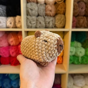 May include: A crocheted capybara plushie in shades of tan and brown, with small black eyes and a rounded shape. The plush toy is held in a hand, with a backdrop of shelves filled with various yarn colors.