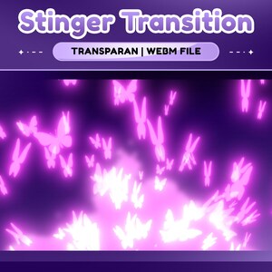 Transición de corriente de sueño lavanda: habitación lavanda con un lindo conejito y mariposa/cambio de escena kawaii morado pastel/transición de aguijón