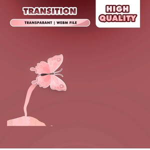 Puede incluir: Gráfico digital de una mariposa rosa estilizada, colocada sobre una estructura rosa en forma de tallo. El texto "TRANSITION" y "HIGH QUALITY" está presente. Debajo de la palabra "TRANSITION" está el texto "TRANSPARANT | WEBM FILE".