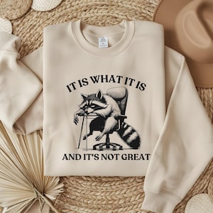 It Is What It Is And It Is Not Great Sweatshirt, Mental Health Sweater, Funny Raccoon Sweatshirt, Funny Sweatshirt, Meme Sweatshirt