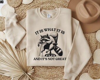 It Is What It Is And It Is Not Great Sweatshirt, Mental Health Sweater, Funny Raccoon Sweatshirt, Funny Sweatshirt, Meme Sweatshirt
