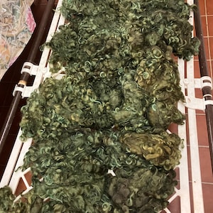 May include: A large pile of raw, curly sheep wool dyed in various shades of forest green, olive, and moss. The fibers are dense, textured, and clumped together, displaying natural curls and a soft, voluminous appearance across the entire surface.