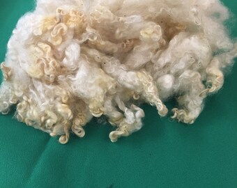 Washed Leicester Longwool X Locks