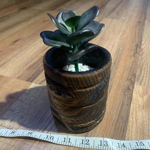 Pine-Char Live Edge Planter - Succulents, Herbs, ETC..