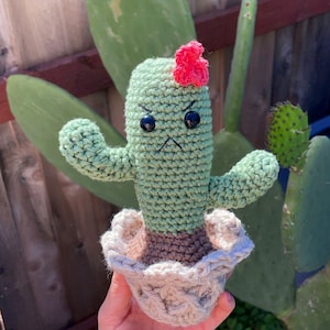 Gehäkelter Cranky Kaktus Muster - PDF-Digitaldownload - Amigurumi - Kaktus - Sukkulente - Handgemachte Geschenkidee