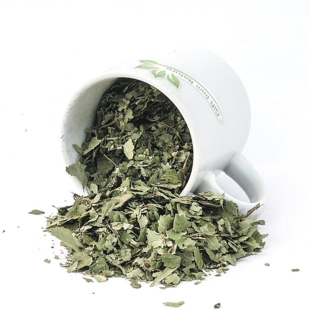 BIRCH Leaf Tea Organic Betula Pendula Roth , Organic Loose Tea , Loose ...
