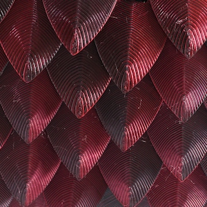 May include: Close-up of a textured, red, scaly surface. The scales are arranged in a pattern of overlapping rows.