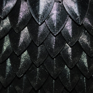 May include: Close-up of a textured, black surface with a repeating pattern of overlapping, leaf-shaped scales. The scales have a subtle sheen, catching the light and creating highlights. The overall effect is a dark, intricate design.