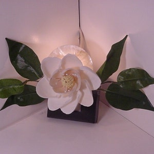 Night Light Beach Seashell Magnolia shape. Handmade Artists original design.  green silk leaves, white clam shell petals, yellow stamen