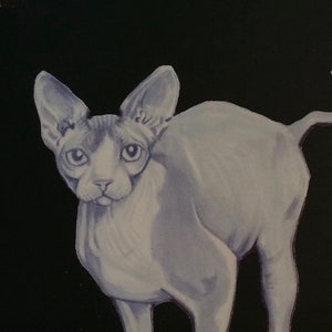 Grey Sphynx Cat Sticker 3 inches by 3.25 inches