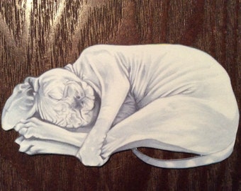 Naked Hairless Sphynx Cat Hugging Legs Sticker