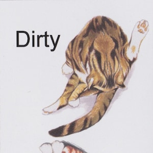 clean dirty dishwasher magnet