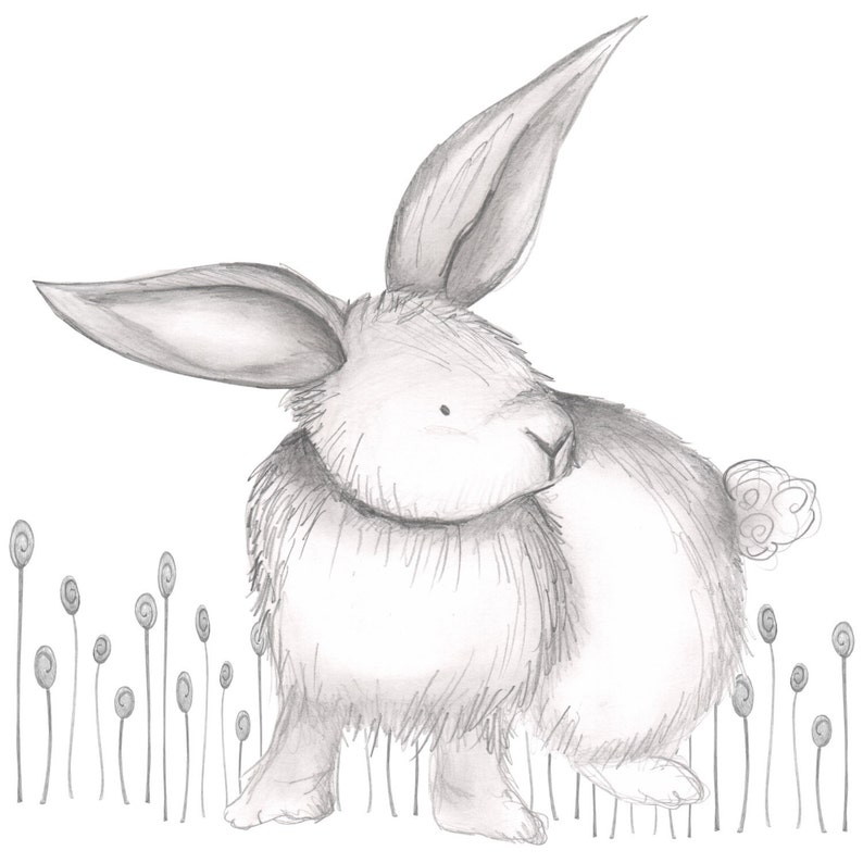 Riley Rabbit image 1