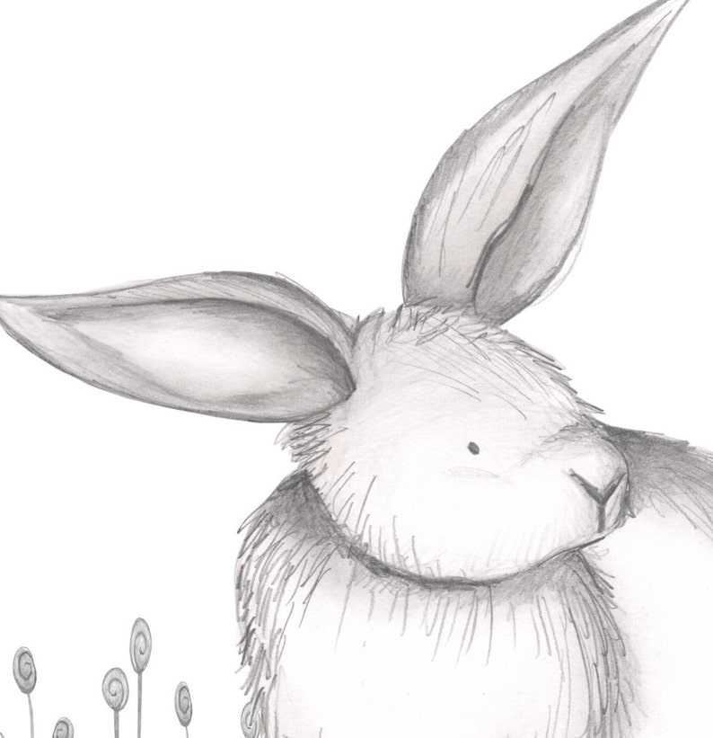 Riley Rabbit image 2