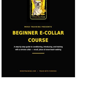 May include: A black informational flyer titled MVK9 TRAINING PRESENTS BEGINNER E-COLLAR COURSE. It features a yellow graphic of a French Bulldog, text describing a step-by-step guide for remote collar training, and the website MVK9TRAINING.COM.