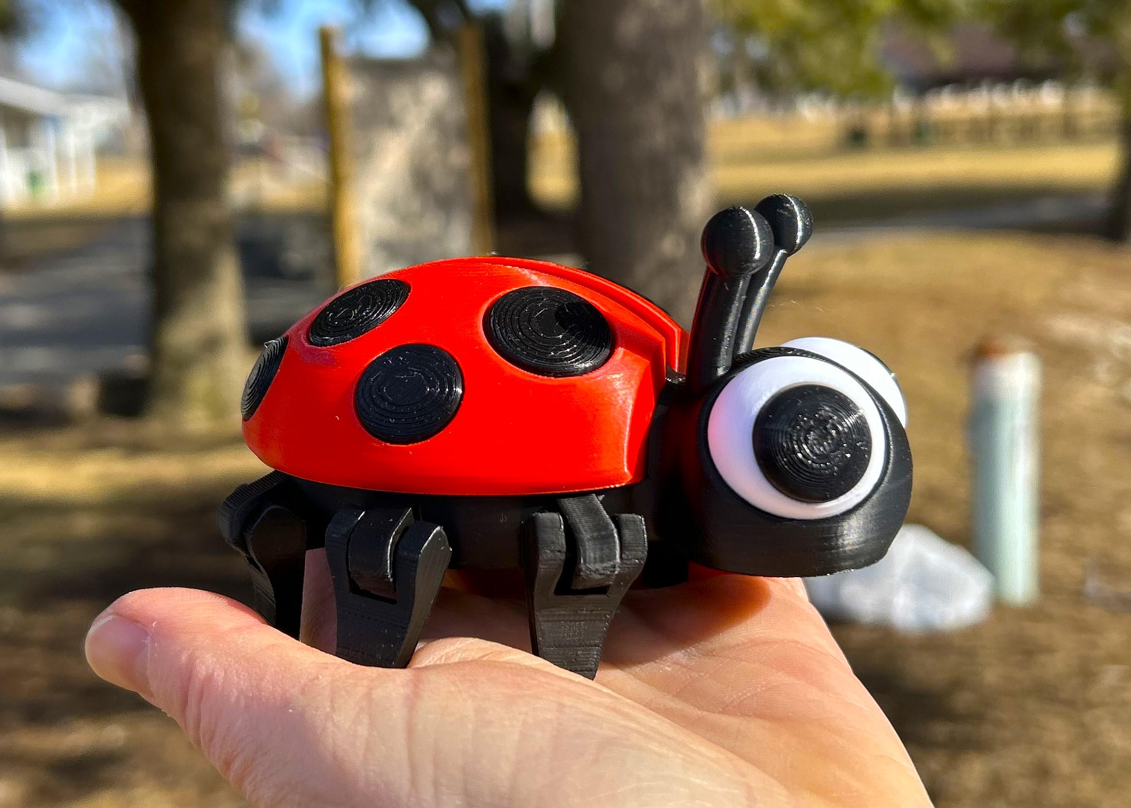 Insect Customized Articulated 3D Printed Ladybug Figure Red Insect Custom Desk Decor Gift ...