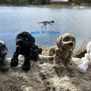 Peut inclure: Quatre figurines de chien articul&eacute;es imprim&eacute;es en 3D en noir, marron, blanc et gris. Les figurines sont en position assise, les pattes tendues. Le texte "Mystic 3D Creatures" est visible en arri&egrave;re-plan.