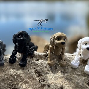 Peut inclure: Quatre figurines de chien articul&eacute;es, posables, imprim&eacute;es en 3D en noir, marron et blanc. Les figurines sont pos&eacute;es dans une position assise ludique. Le texte "Mystic 3D Creatures" est visible au-dessus des figurines.