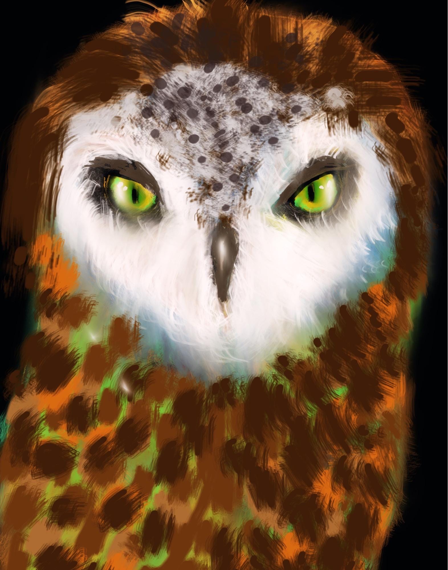 owls beauty digitally made by myself 11 x 14 inches wall art