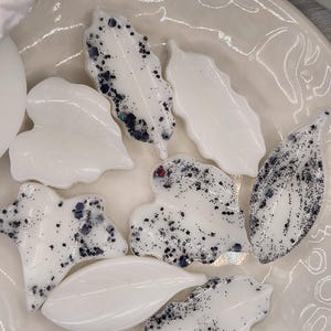 Mahogany Teakwood Soy Wax Melts: Woodsy Aromatherapy