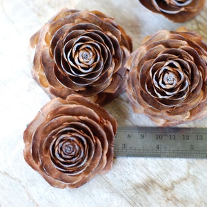 May include: Four brown pine cone rosettes, resembling flowers, arranged on a wooden surface. A ruler is visible in the bottom right corner.