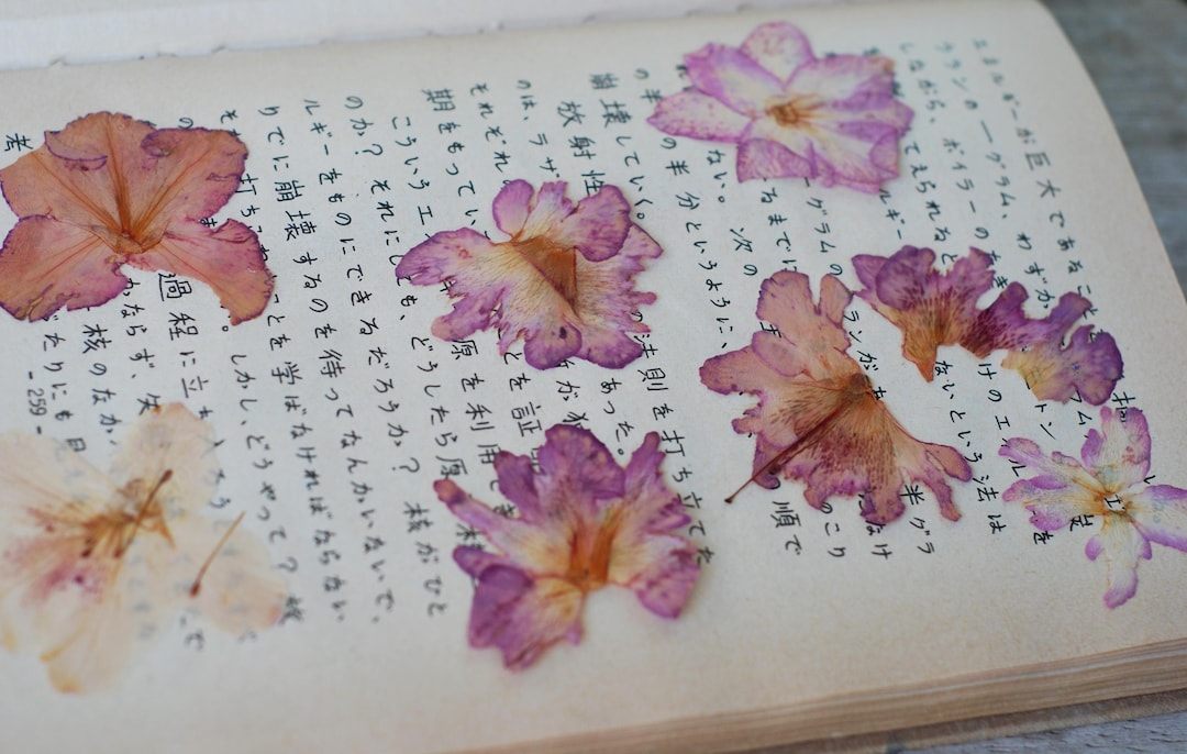 Pressed Azalea Flowers: Pink Rhododendron for Crafts, Scrapbooking