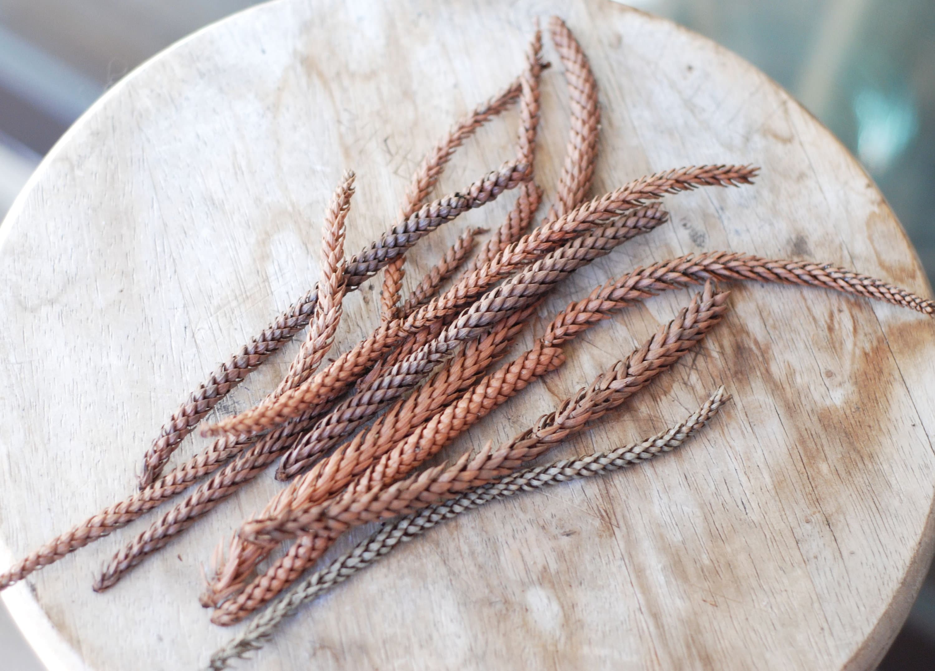 アクセサリー pine Zodax Needle Pin Tree Branch with Glitter Pine Cone - Designer's